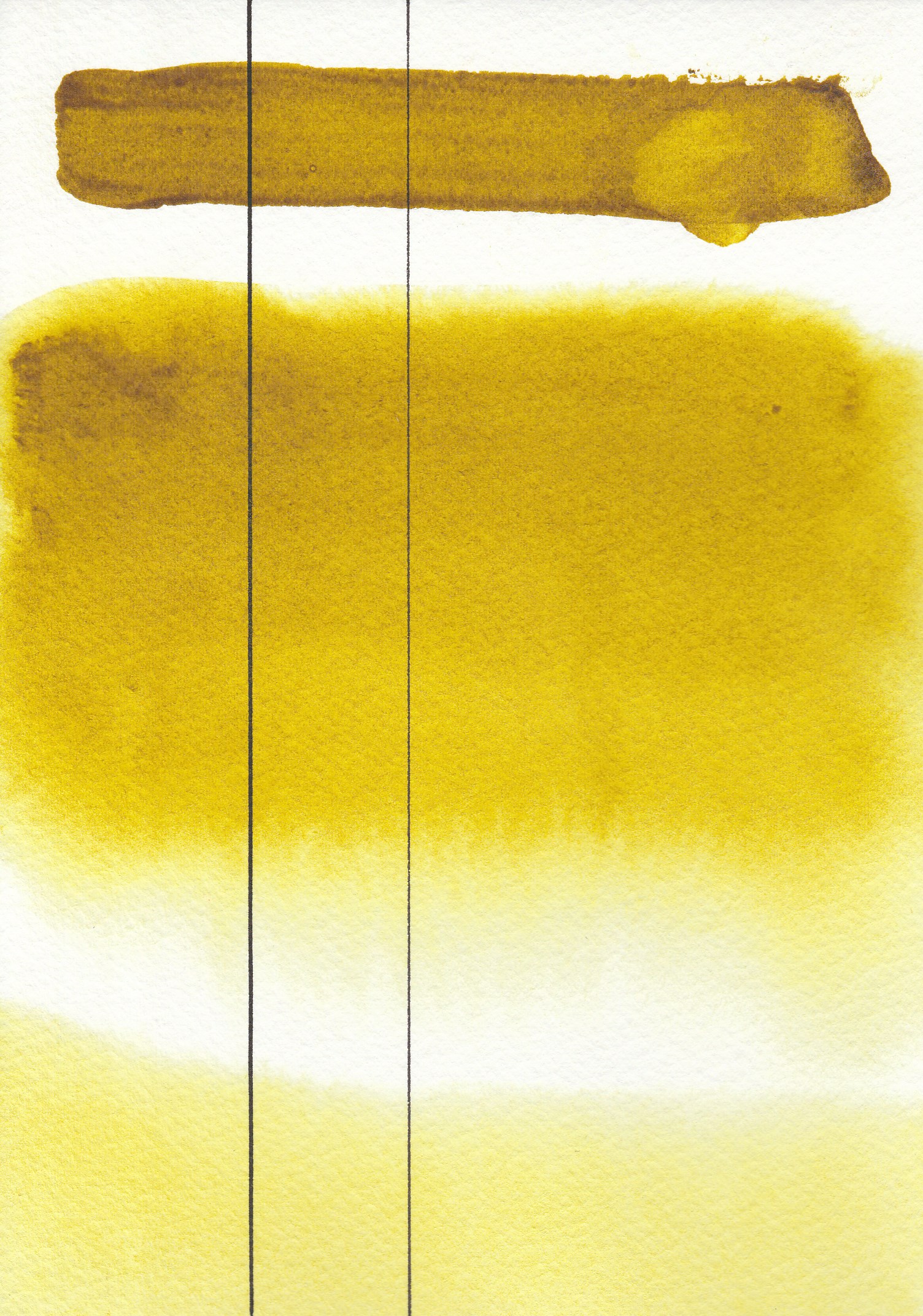 AQUARIUS AKWARELA GREEN GOLD/ZIELEŃ ZŁOTAWA 347