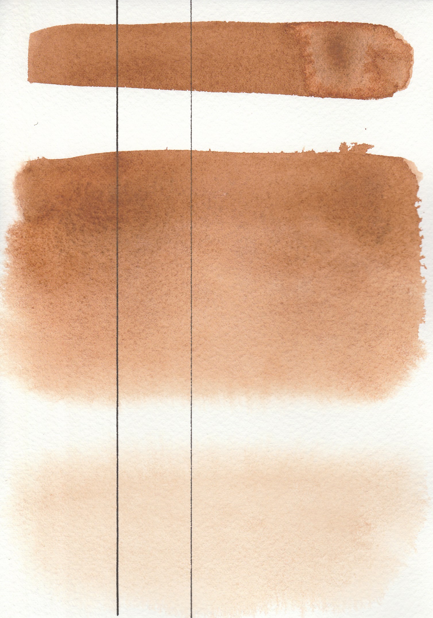 AQUARIUS AKWARELA OCHRE HAVANA/OCHRA HAWANA 113