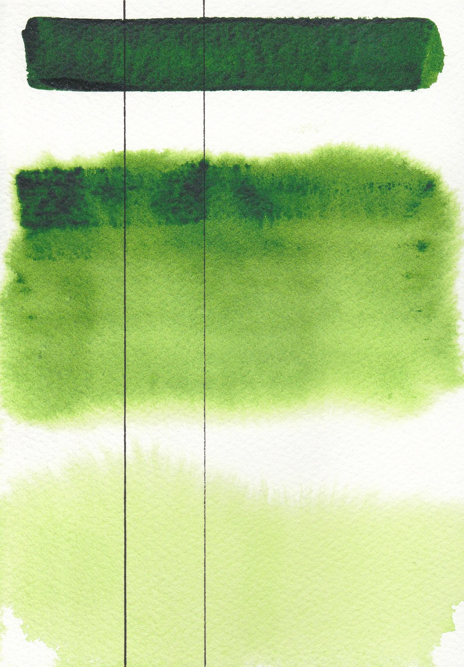AQUARIUS AKWARELA SAP GREEN/ZIELEŃ SOCZYSTA 233