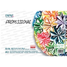 BLOK PROFESSIONAL Szkicownik 250G 42X29,7 A3