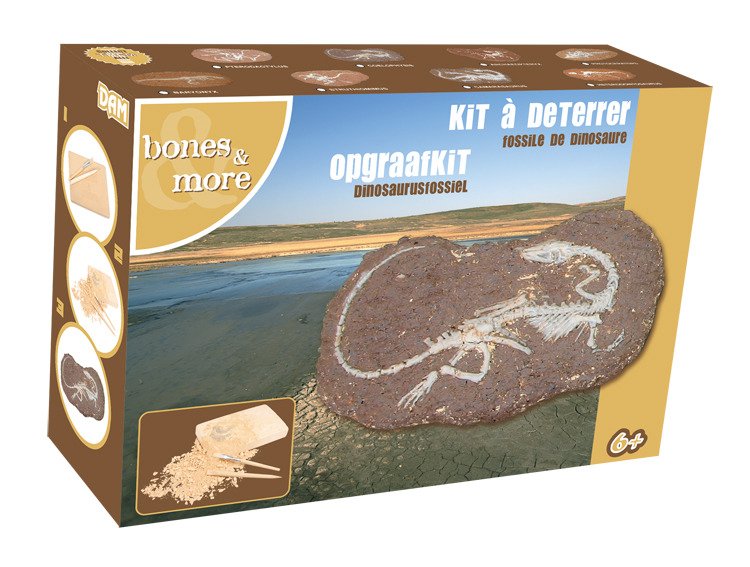 BONES & MORE SZKIELET DINOZAURA W KAMIENIU