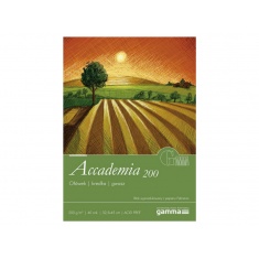 FABRIANO BLOK ACCADEMIA 200G 32,5X45 200G 20ARK
