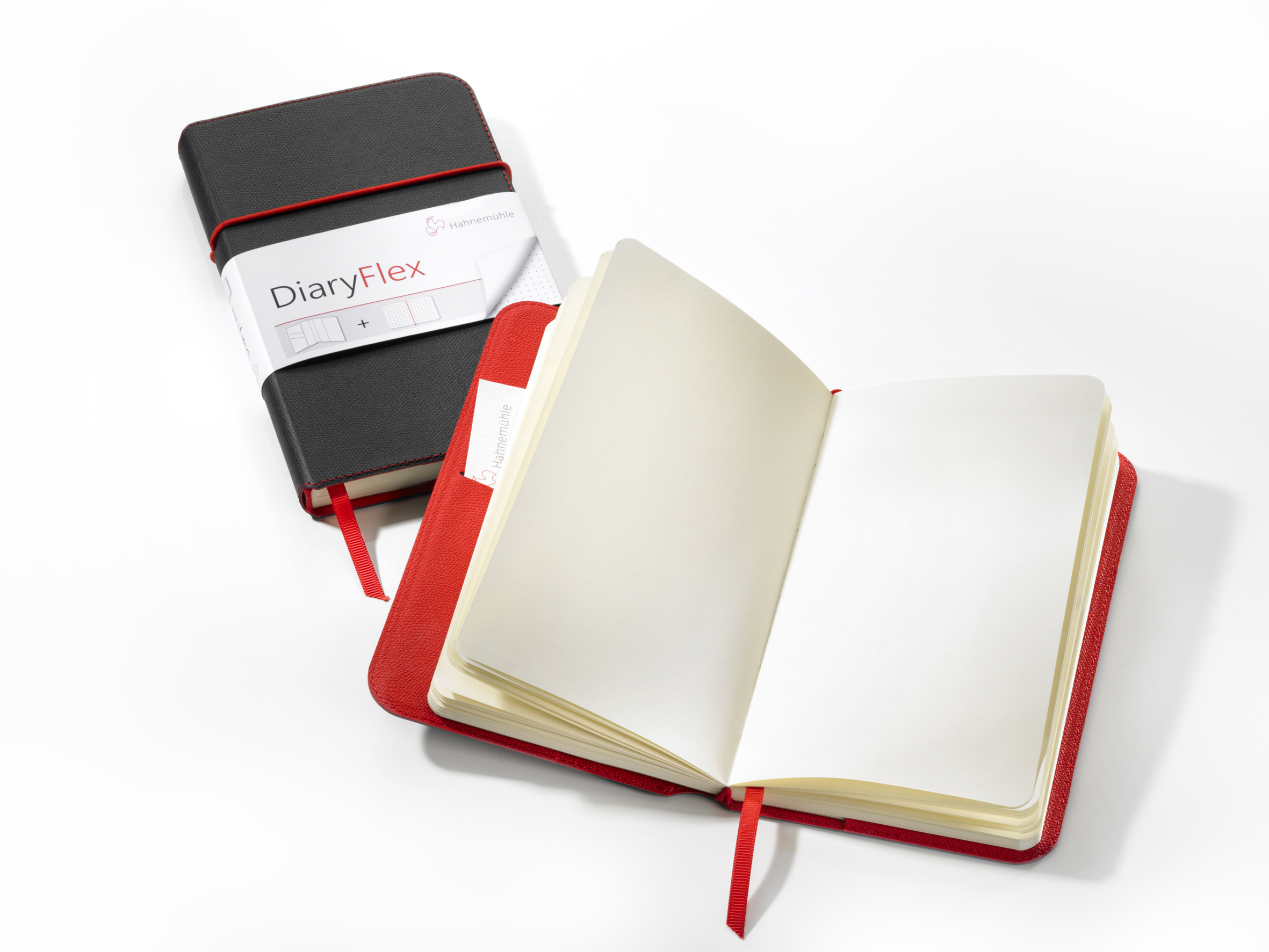HAHNEMUHLE DIARYFLEX NOTES 100G 11,5X19CM PUNKTY 80 ARK.