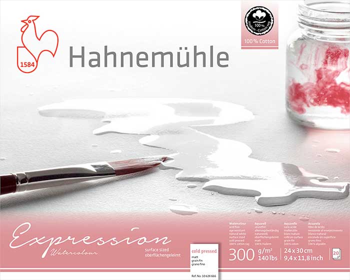 HAHNEMUHLE EXPRESSION COLD PRESSED (drobnoziarnisty) 30x40 - 20 ARK. 300g 100% BAWEŁNA