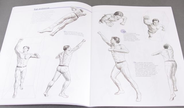 Lekcje rysowania - ANATOMIA RUCHU- ARKADY