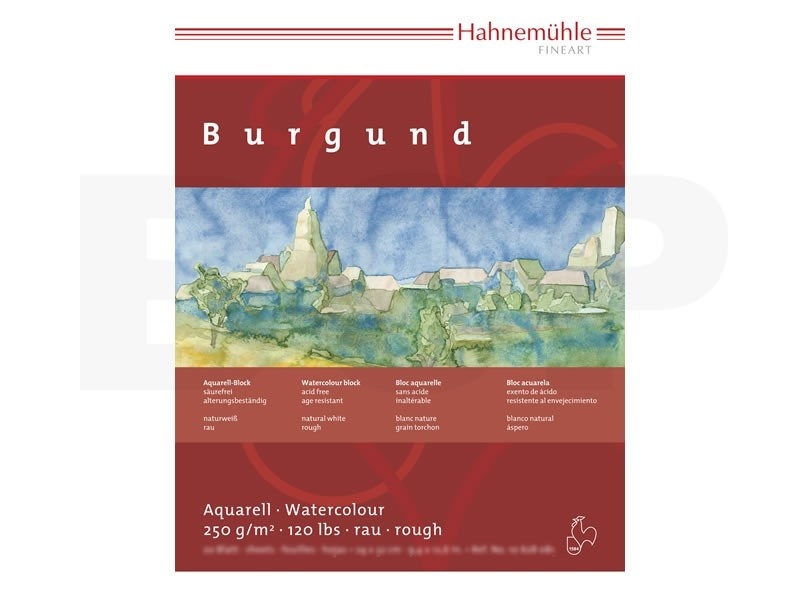 HAHNEMUHLE BURGUND - COLD PRESSED (drobnoziarnisty) 250G 50x65cm 100% CELULOZA
