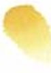 ROSA WATERCOLOR 1/1 719 YELLOW OCHRE