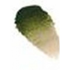 ROSA WATERCOLOR 1/1 720 SEPIA