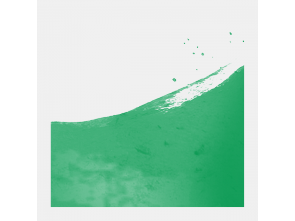 TALENS ECOLINE 30 ml 656 - FOREST GREEN - koncentrat farby wodnej w pojemniku z pipetą