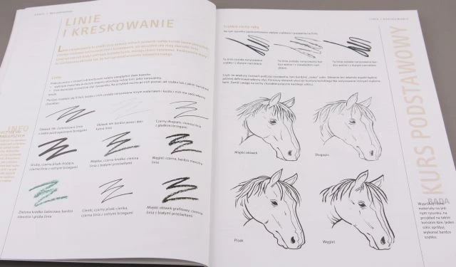 WARSZTATY RYSUNKOWE KONIE-AKA