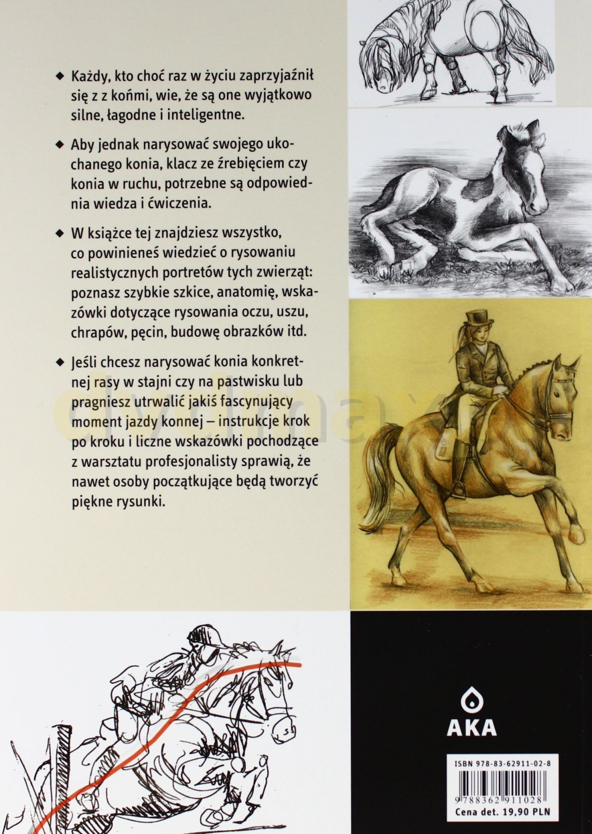 WARSZTATY RYSUNKOWE KONIE-AKA